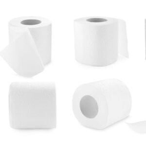 Papel Higiênico 12un
