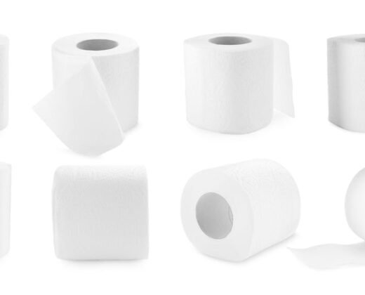 Papel Higiênico 12un
