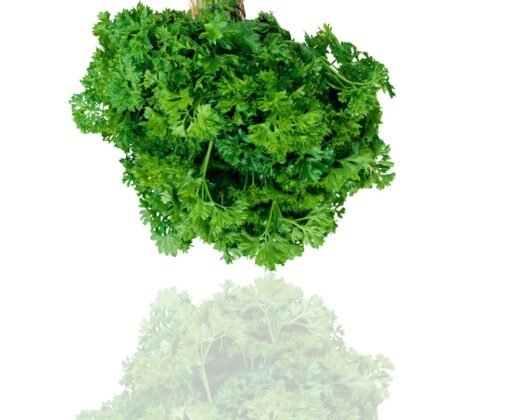 Cheiro-verde (maço)