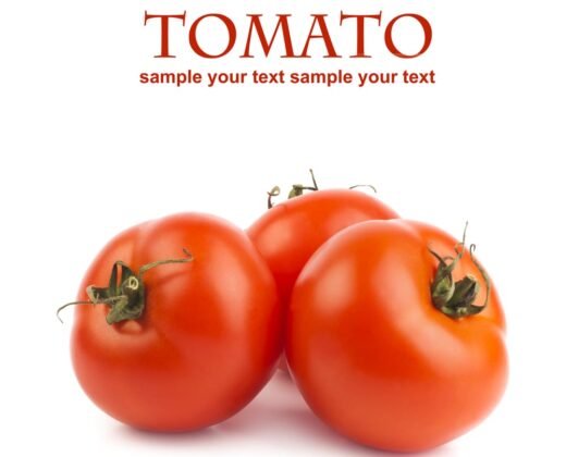 Tomate Italiano