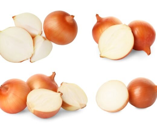 Cebola